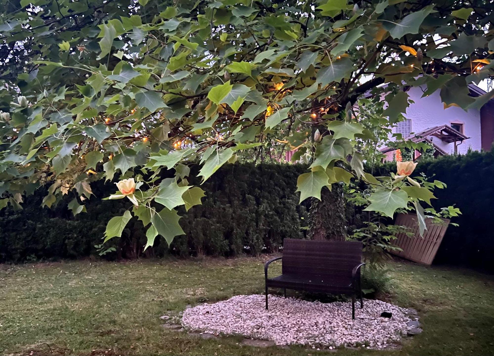Haus Mit Garten Holiday home